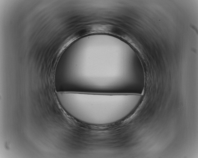 X0000097921145200803141025
