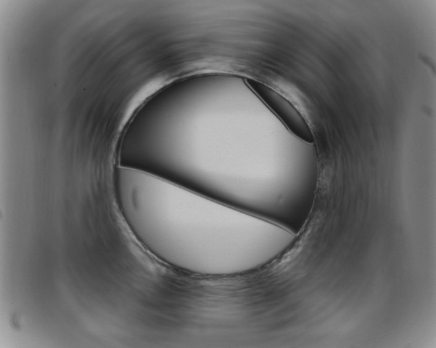 X0000097921146200803141025