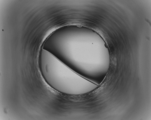 X0000097921147200803141025