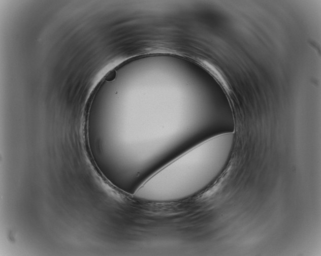 X0000097921149200803141025