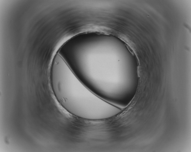 X0000097921152200803141025