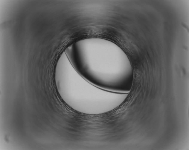 X0000097921153200803141025