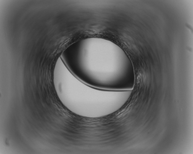X0000097921156200803141025