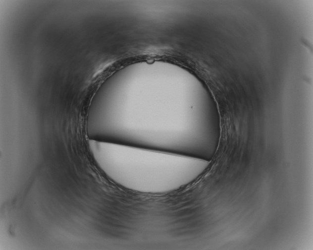 X0000097921158200803141024