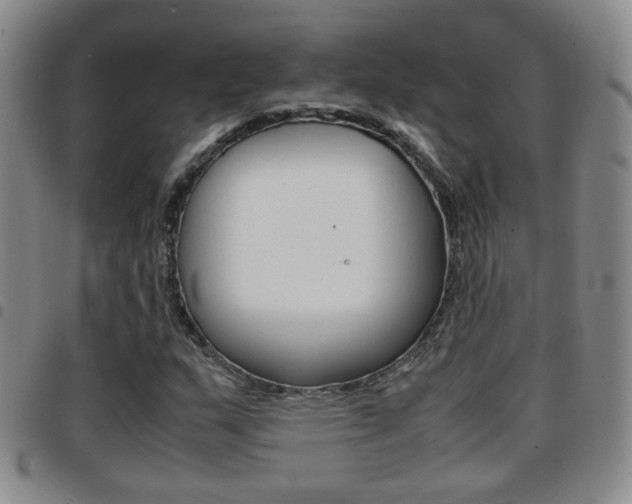 X0000097921159200803141024