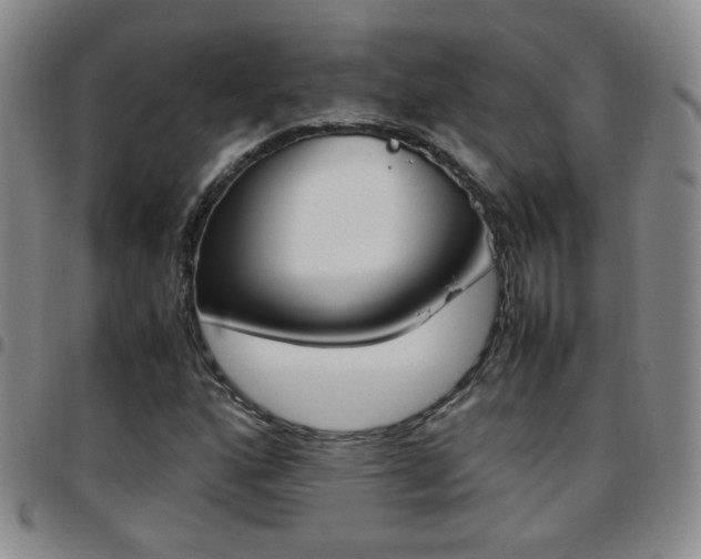 X0000097921160200803141024