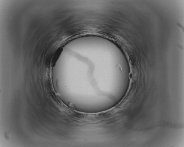 X0000097921161200803141024