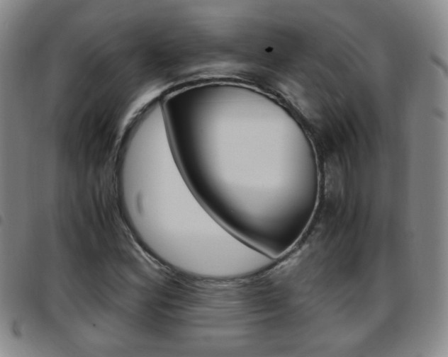X0000097921164200803141024