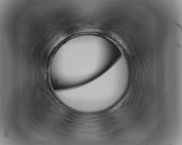 X0000097921165200803141024