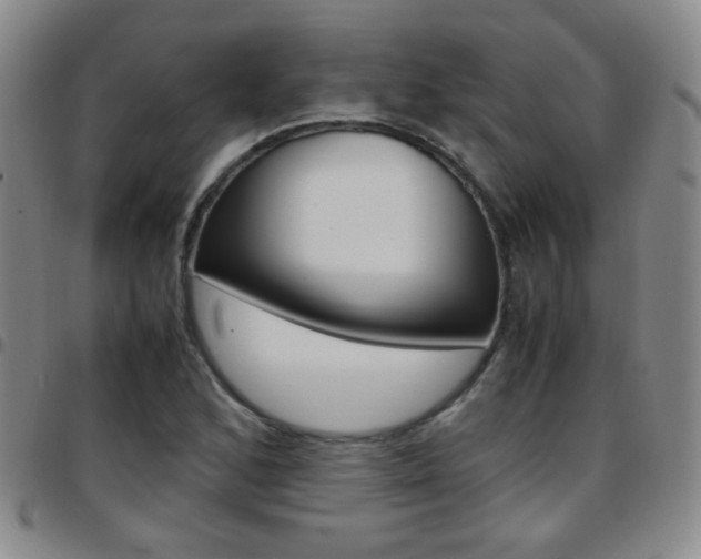 X0000097921168200803141024
