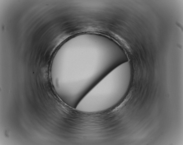 X0000097921170200803141024