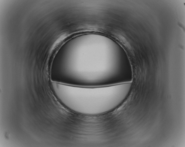 X0000097921172200803141024