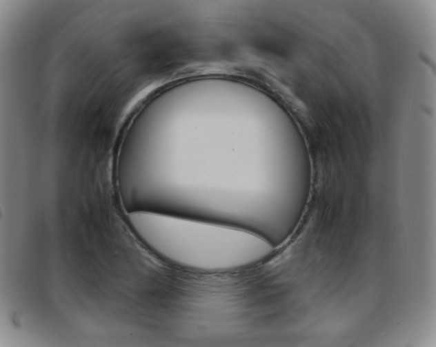 X0000097921174200803141024