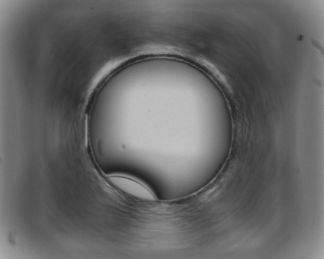 X0000097921175200803141024