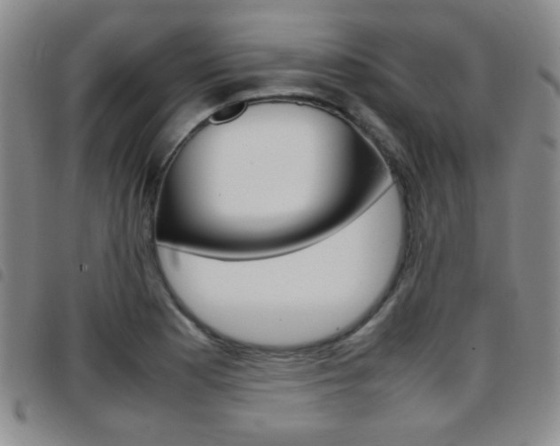 X0000097921177200803141024