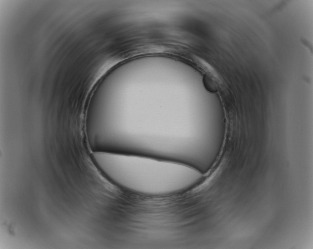 X0000097921178200803141024