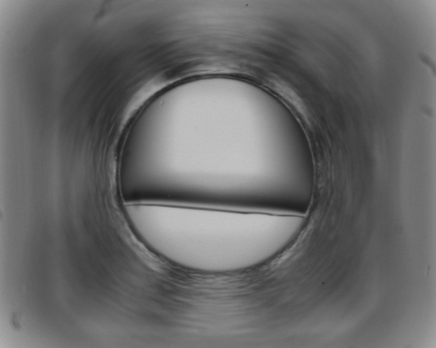 X0000097921179200803141024