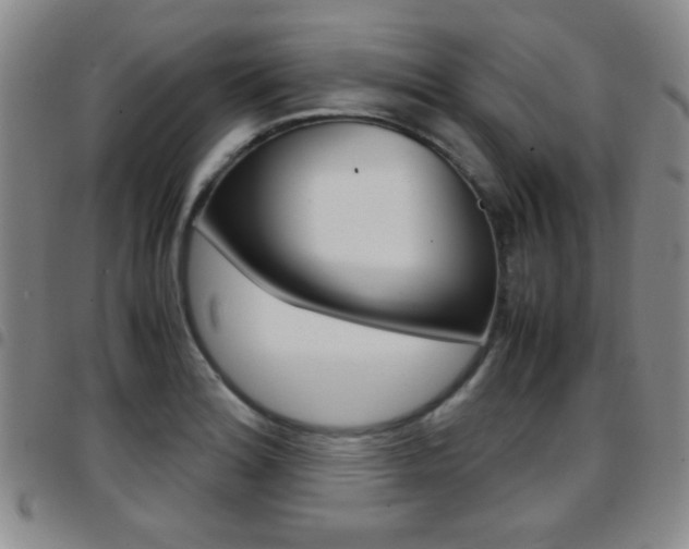X0000097921180200803141024