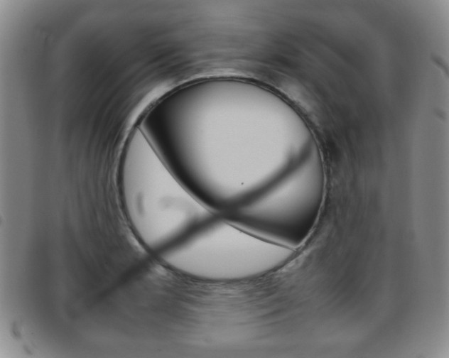 X0000097921181200803141024