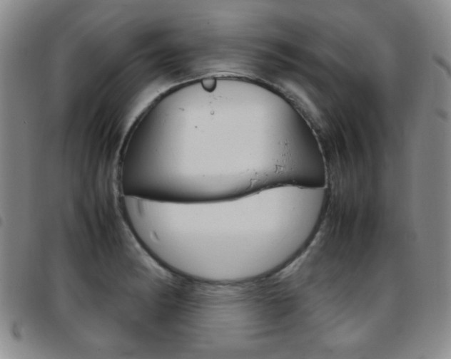 X0000097921182200803141024