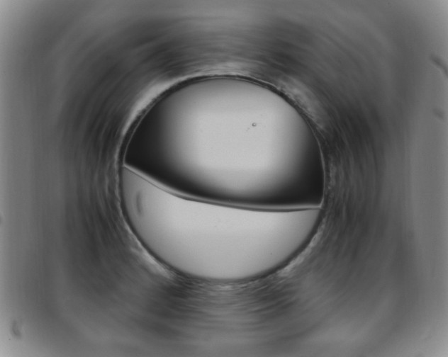 X0000097921184200803141024