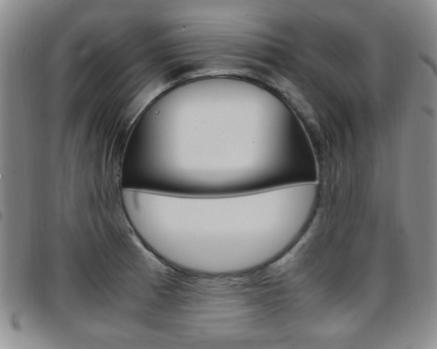 X0000097921185200803141024