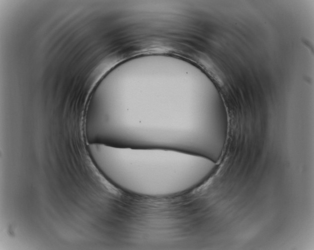 X0000097921186200803141024