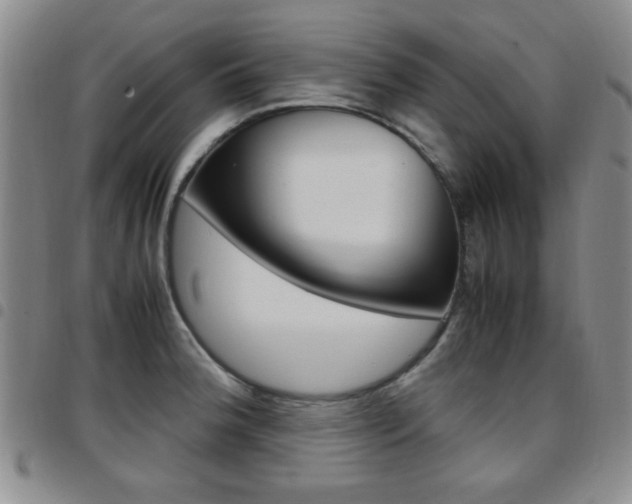 X0000097921188200803141024