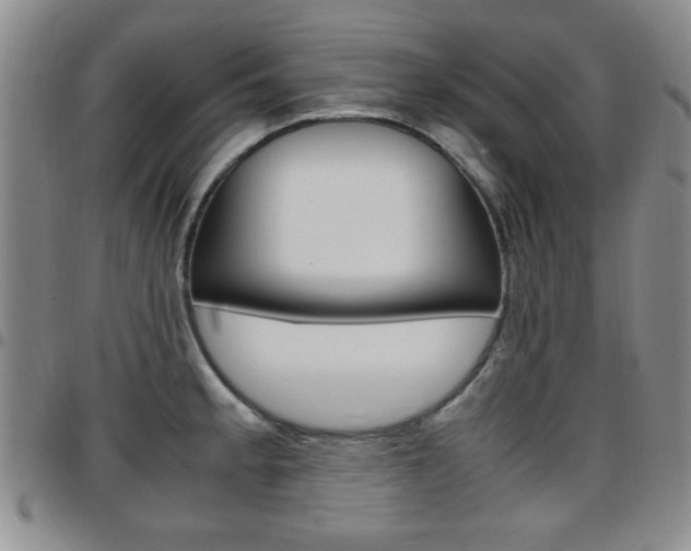 X0000097921189200803141024