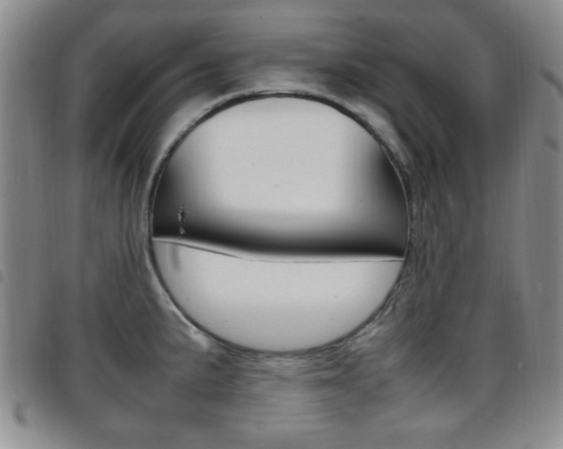 X0000097921191200803141024