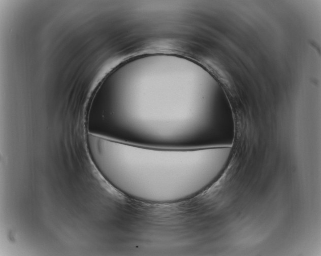 X0000097921192200803141024