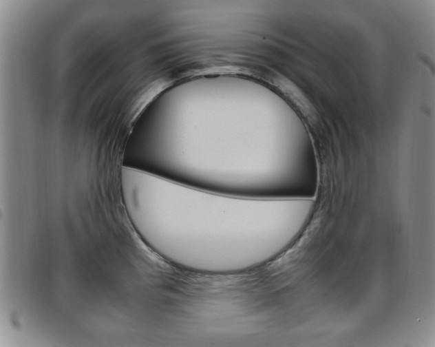 X0000097921193200803141024