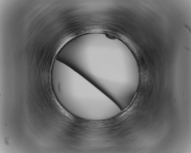 X0000097921194200803141024
