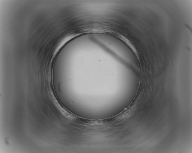 X0000097921195200803141024