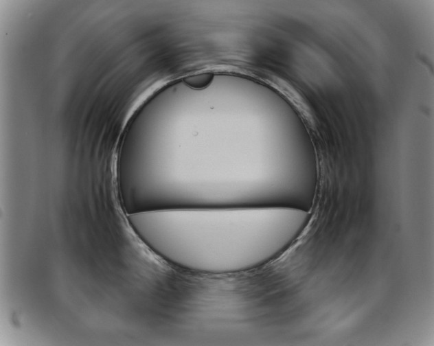 X0000097921198200803141024