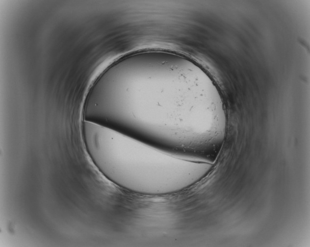 X0000097921199200803141024
