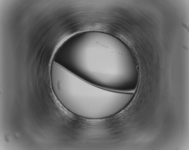X0000097921200200803141024