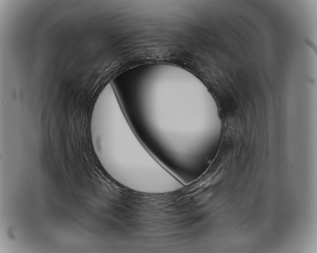 X0000097921202200803141023