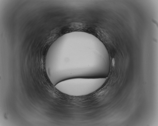 X0000097921203200803141023