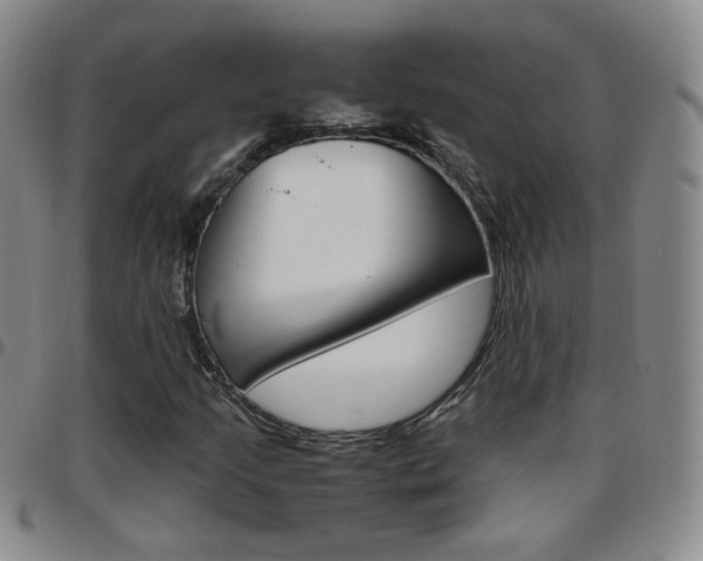 X0000097921205200803141023