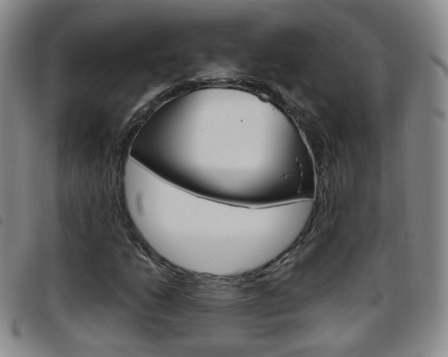 X0000097921206200803141023