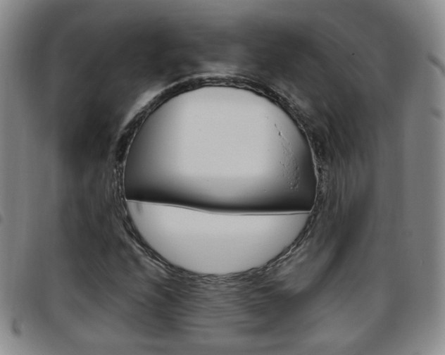 X0000097921208200803141023
