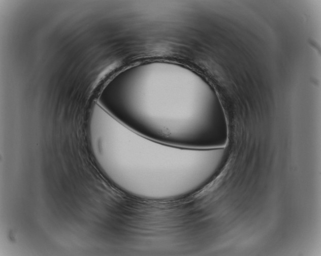 X0000097921210200803141023