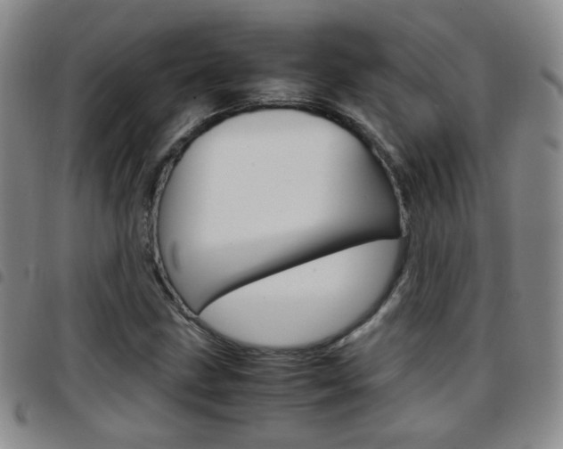 X0000097921211200803141023