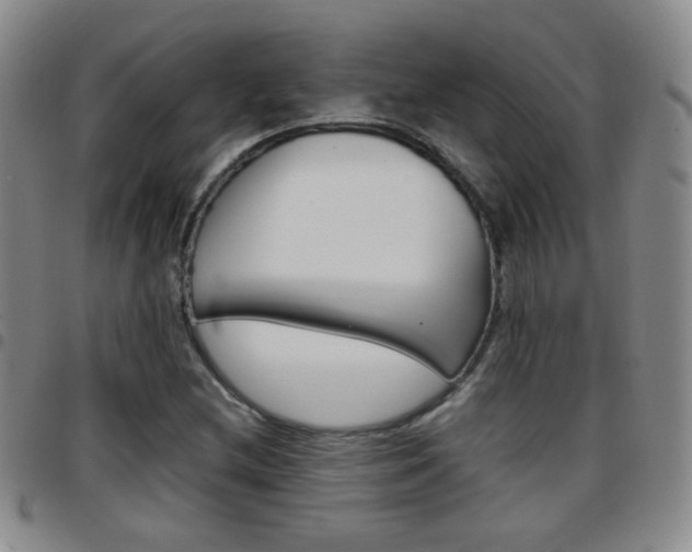 X0000097921212200803141023