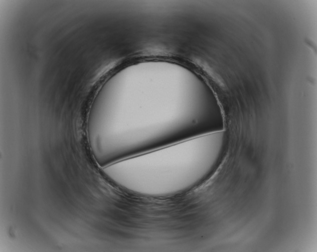 X0000097921213200803141023