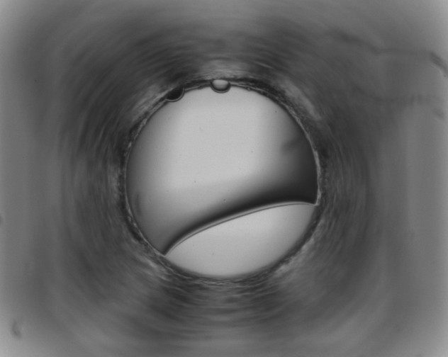 X0000097921217200803141023