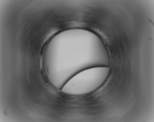 X0000097921219200803141024