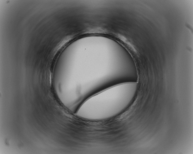 X0000097921221200803141024