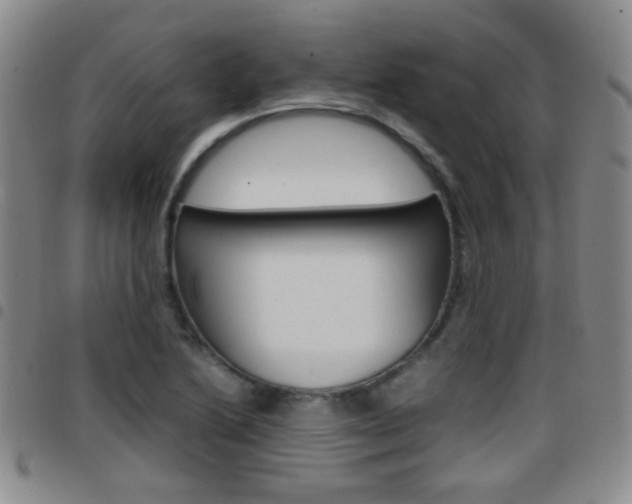 X0000097921222200803141024